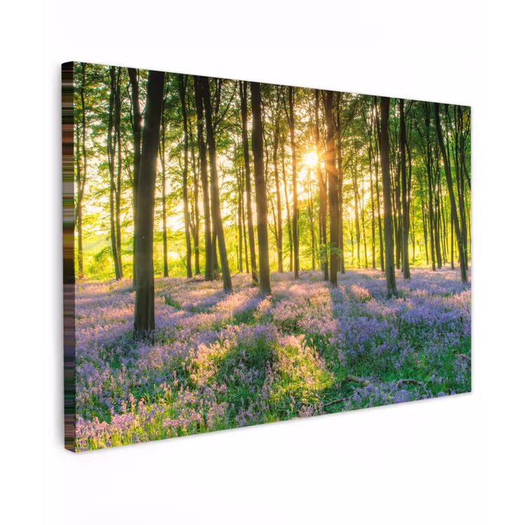 Canvas schilderij - Lente - Bos - Zon — 1