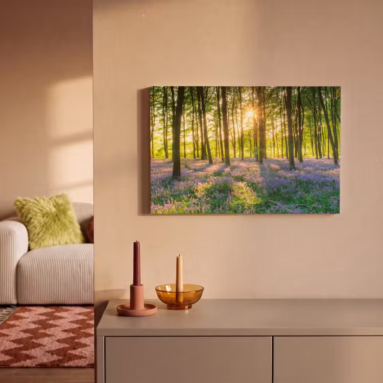 Canvas schilderij - Lente - Bos - Zon — 2