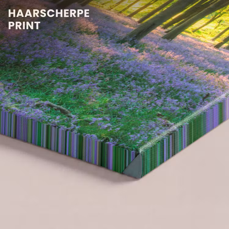 Canvas schilderij - Lente - Bos - Zon — 5