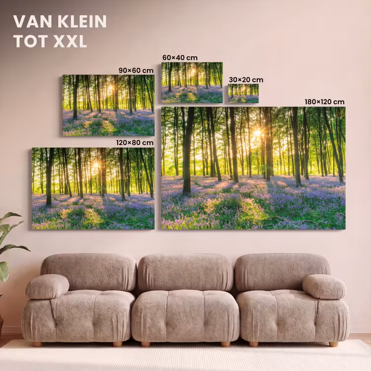 Canvas schilderij - Lente - Bos - Zon — 8
