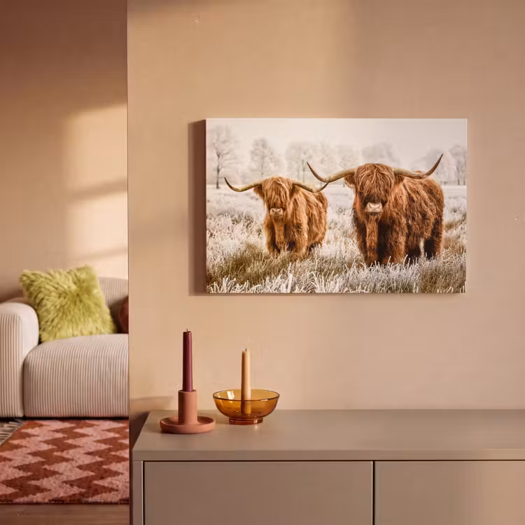 Canvas schilderij - Schotse hooglander - Koe - Natuur - Winter — 2