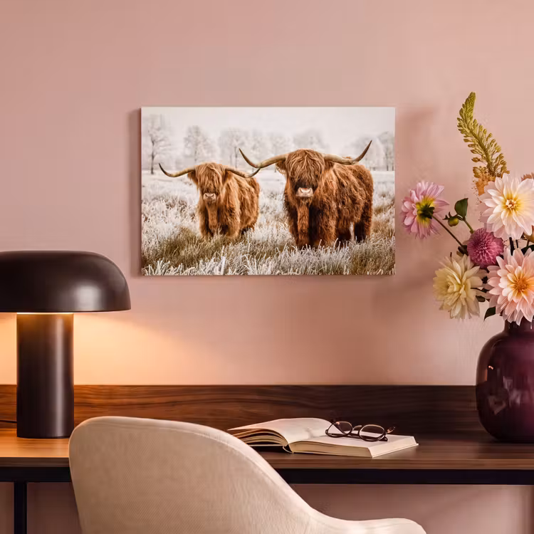 Canvas schilderij - Schotse hooglander - Koe - Natuur - Winter — 6