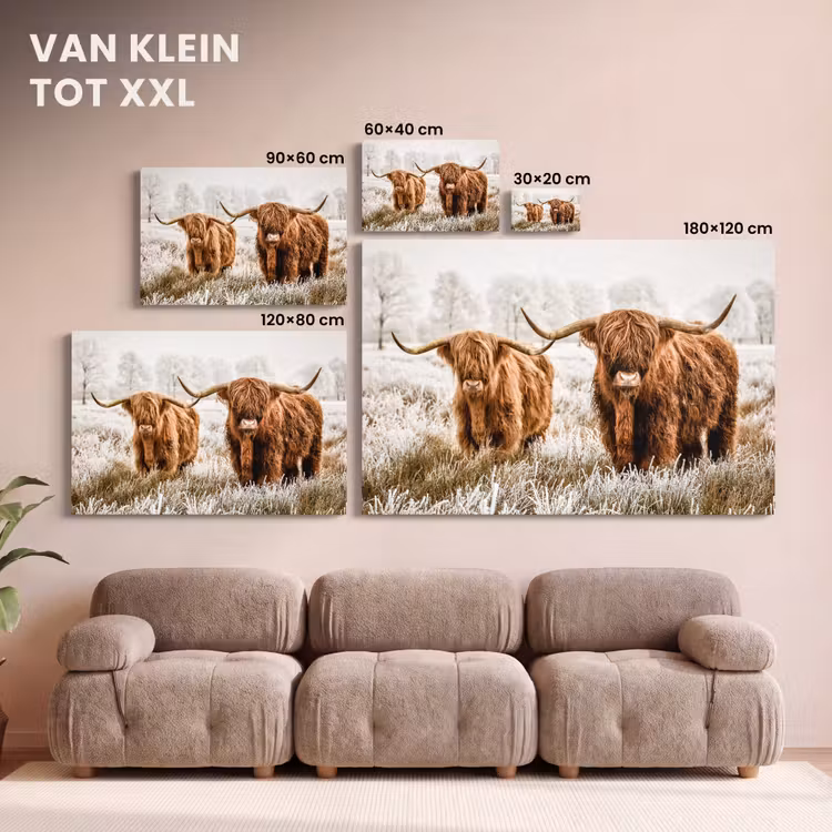 Canvas schilderij - Schotse hooglander - Koe - Natuur - Winter — 8