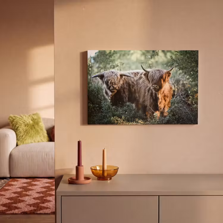 Canvas schilderij - Schotse Hooglanders - Bos - Dieren — 2
