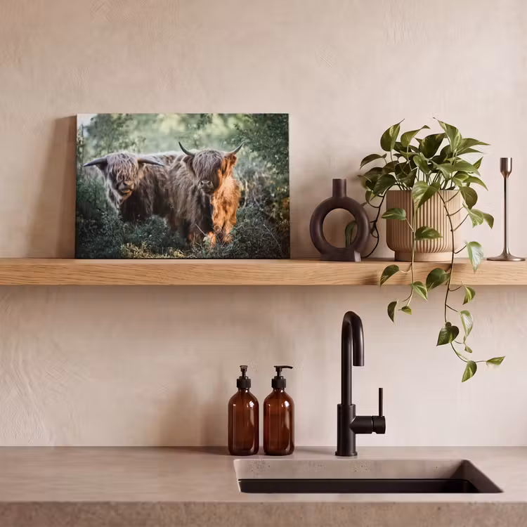 Canvas schilderij - Schotse Hooglanders - Bos - Dieren — 4