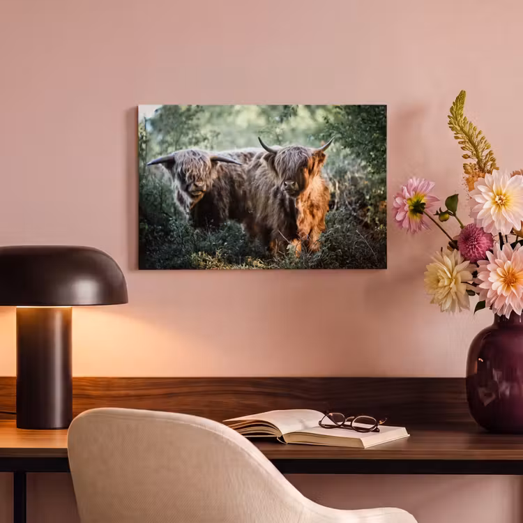 Canvas schilderij - Schotse Hooglanders - Bos - Dieren — 6