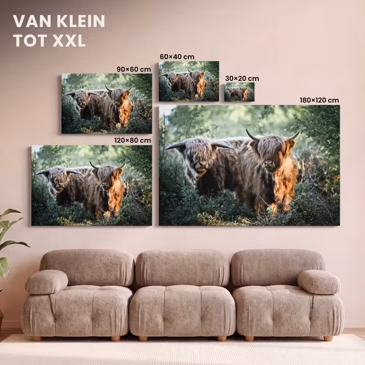 Canvas schilderij - Schotse Hooglanders - Bos - Dieren — 8