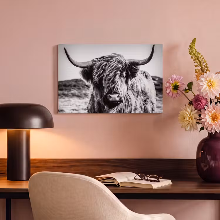 Canvas schilderij - Schotse hooglander - Natuur - Koe - Zwart - Wit — 6