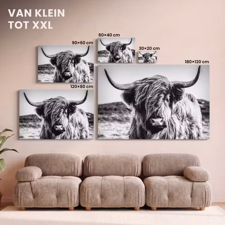 Canvas schilderij - Schotse hooglander - Natuur - Koe - Zwart - Wit — 8