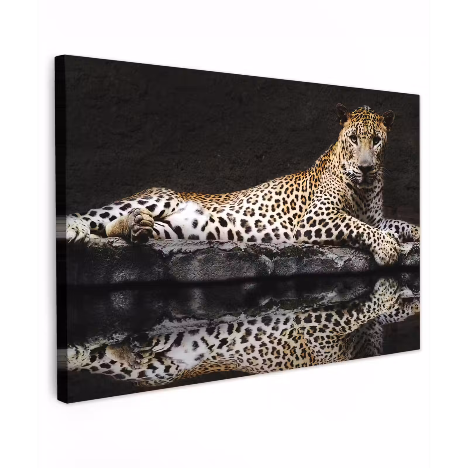 Canvas schilderij - Luipaard - Water - Bos — 1