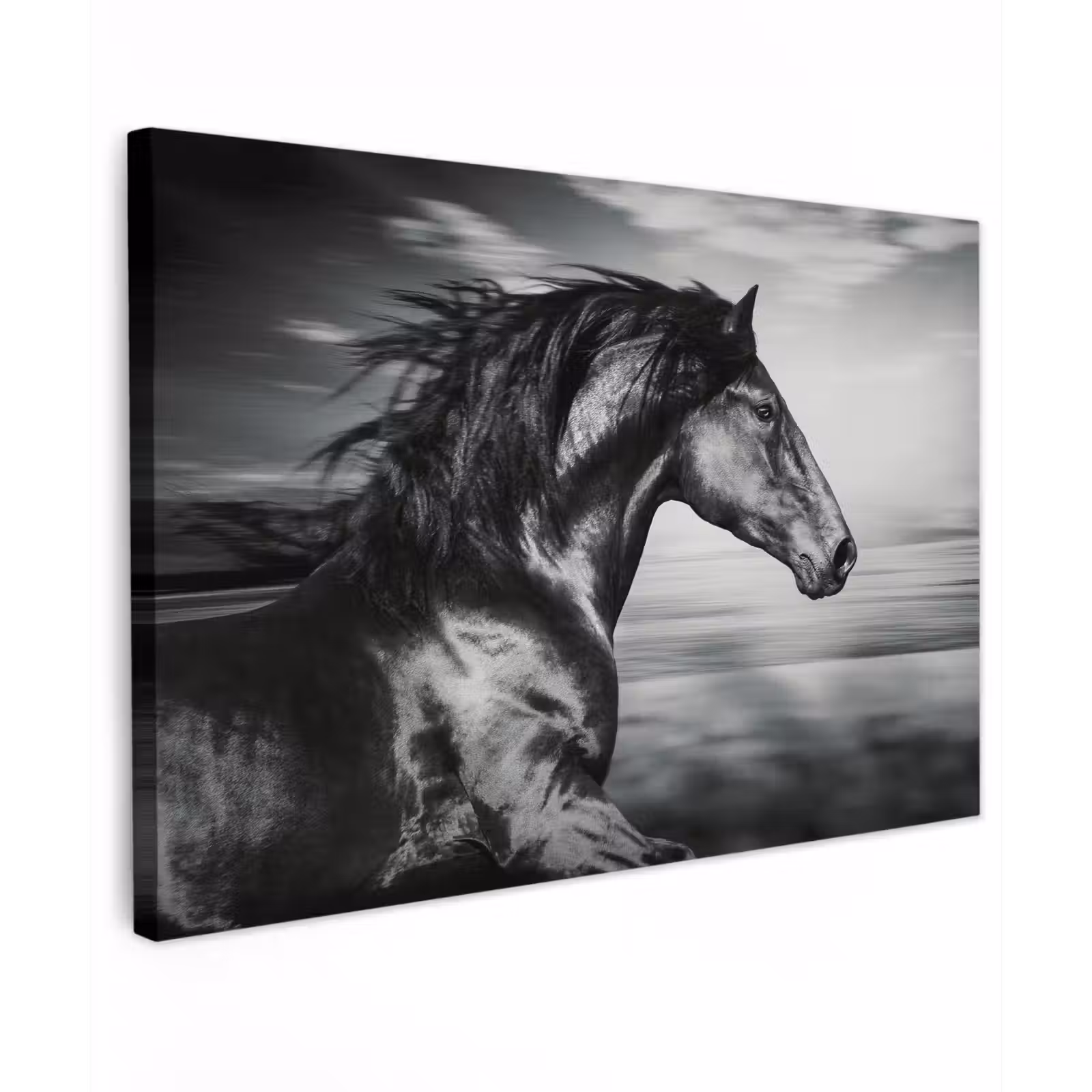 Canvas schilderij - Paard - Dieren - zwart - Wit — 1