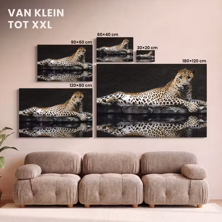 Canvas schilderij - Luipaard - Water - Bos — 8