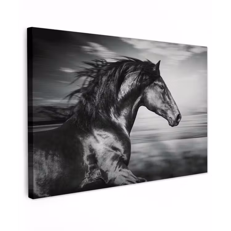 Canvas schilderij - Paard - Dieren - zwart - Wit — 1