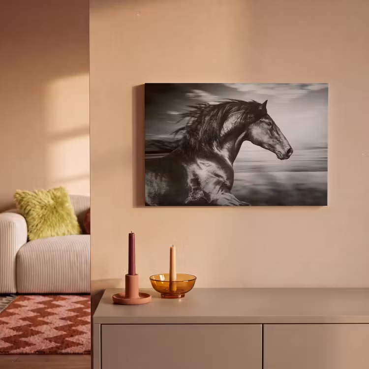 Canvas schilderij - Paard - Dieren - zwart - Wit — 2