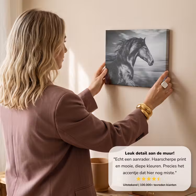 Canvas schilderij - Paard - Dieren - zwart - Wit — 3