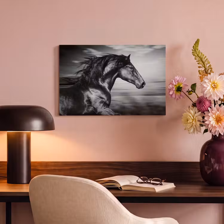 Canvas schilderij - Paard - Dieren - zwart - Wit — 6