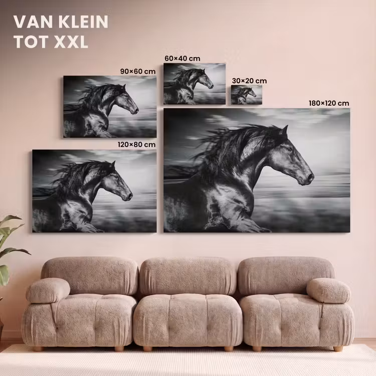 Canvas schilderij - Paard - Dieren - zwart - Wit — 8