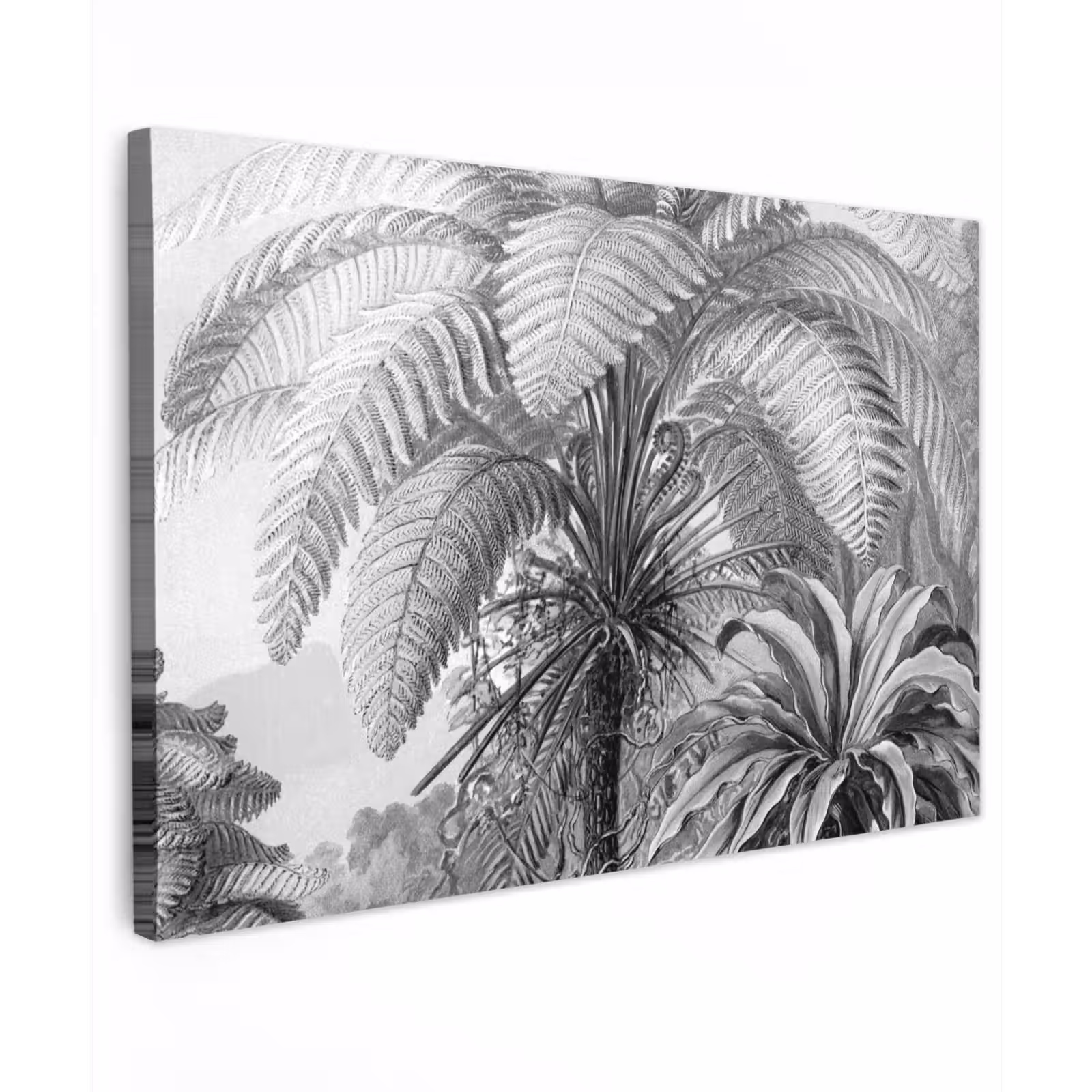 Canvas schilderij - Planten - Zwart wit - Design - Illustratie - Botanisch — 1
