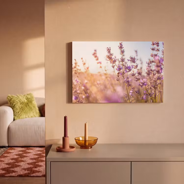 Canvas schilderij - Lavendel - Close-up - Zon - Bloemen - Paars — 2