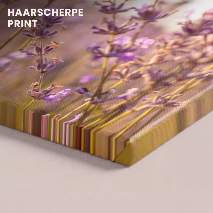 Canvas schilderij - Lavendel - Close-up - Zon - Bloemen - Paars — 5