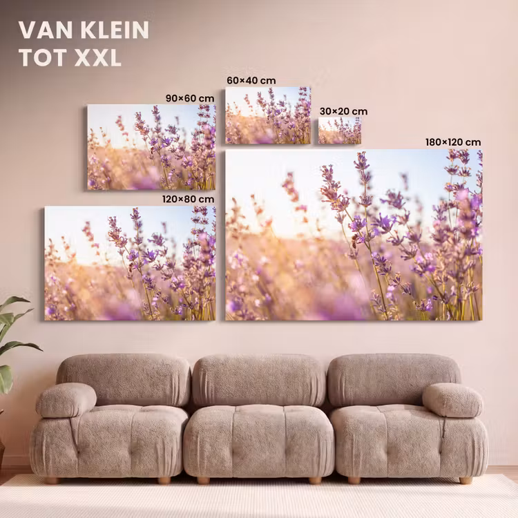Canvas schilderij - Lavendel - Close-up - Zon - Bloemen - Paars — 8
