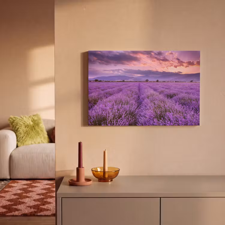 Canvas schilderij - Lavendel - Paars - Bloemen - Veld — 2