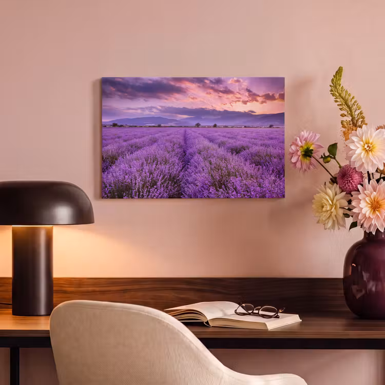 Canvas schilderij - Lavendel - Paars - Bloemen - Veld — 6