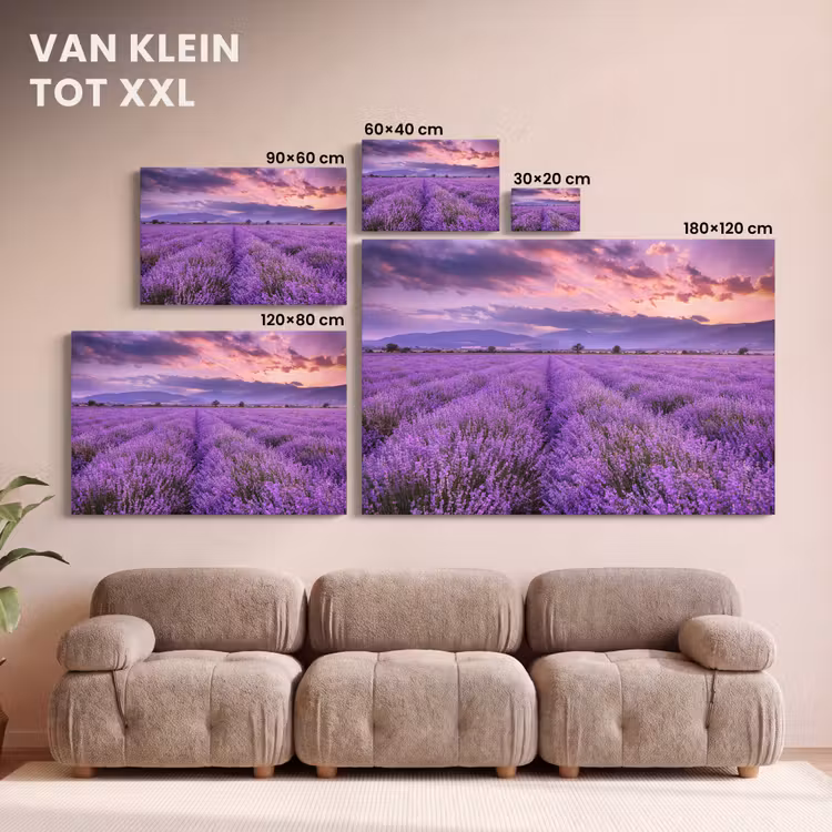 Canvas schilderij - Lavendel - Paars - Bloemen - Veld — 8