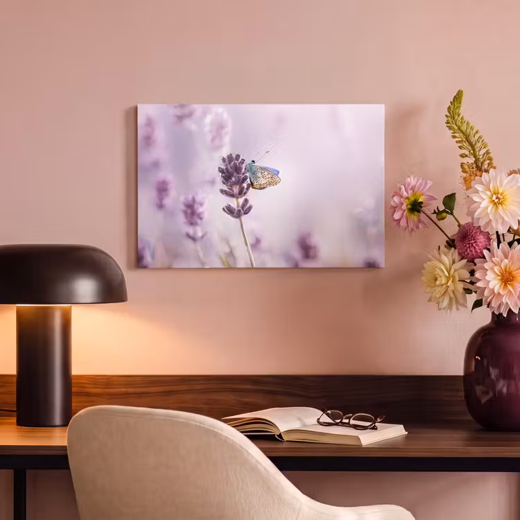 Canvas schilderij - Lavendel - Vlinder - Close-up - Paars — 6