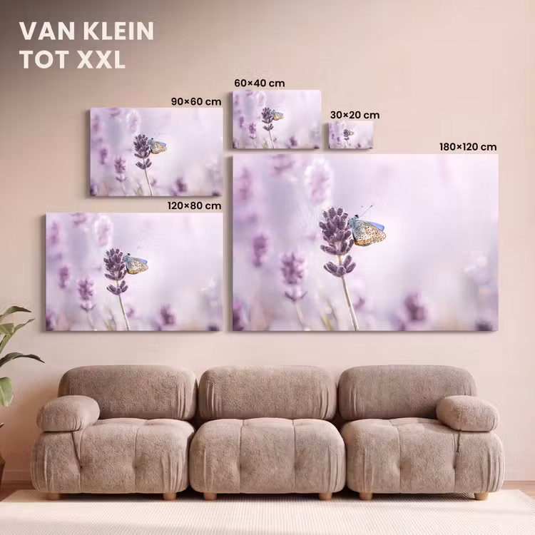 Canvas schilderij - Lavendel - Vlinder - Close-up - Paars — 8