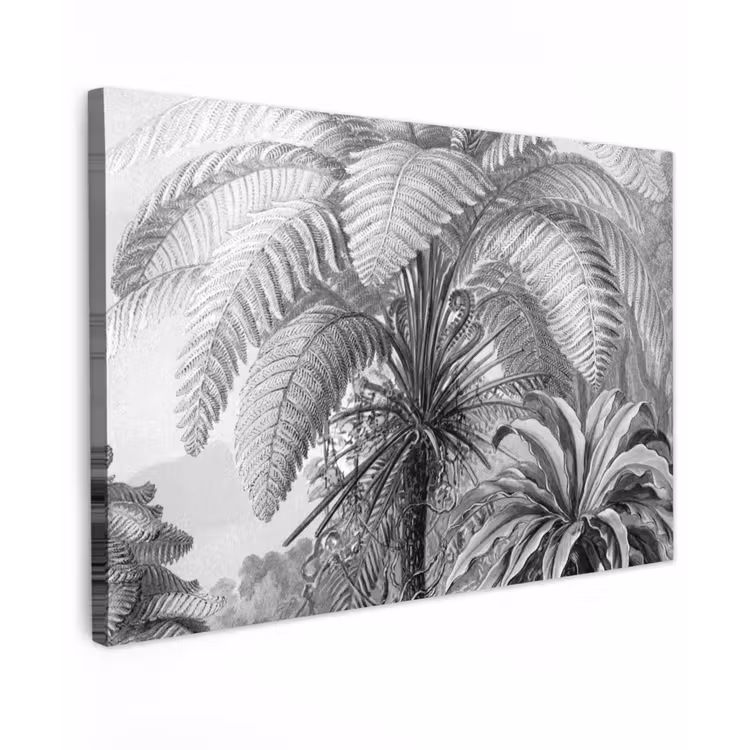 Canvas schilderij - Planten - Zwart wit - Design - Illustratie - Botanisch — 1