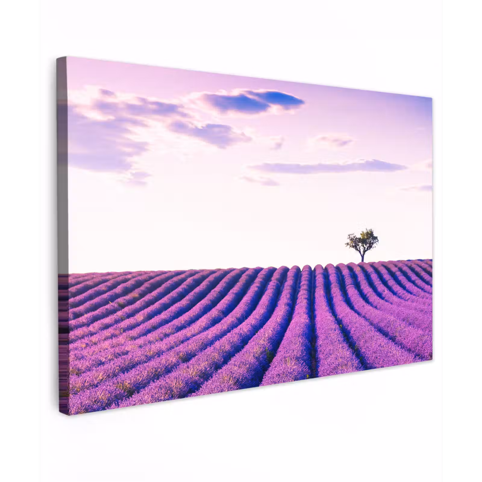 Canvas schilderij - Lavendel - Bomen - Paars - Bloemen — 1
