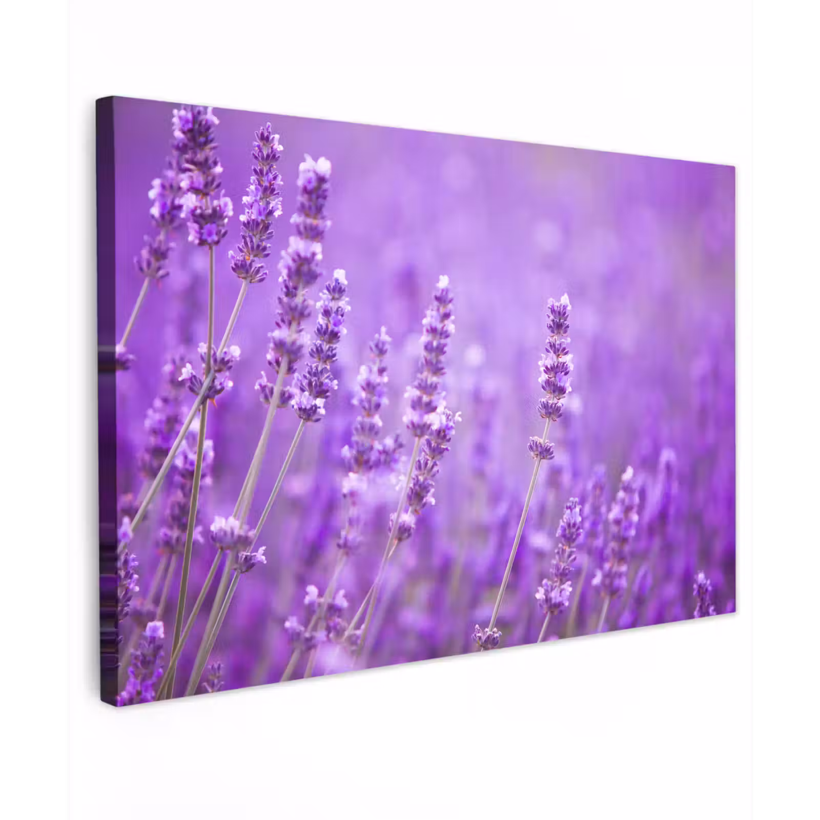 Canvas schilderij - Lavendel - Close-up - Bloemen - Paars — 1