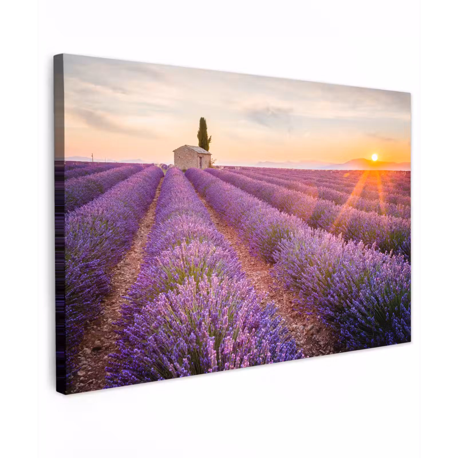 Canvas schilderij - Lavendel - Zonsondergang - Bloemen - Paars — 1
