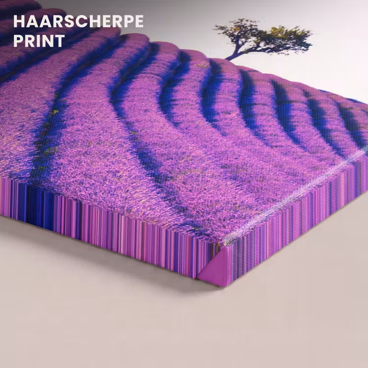 Canvas schilderij - Lavendel - Bomen - Paars - Bloemen — 5