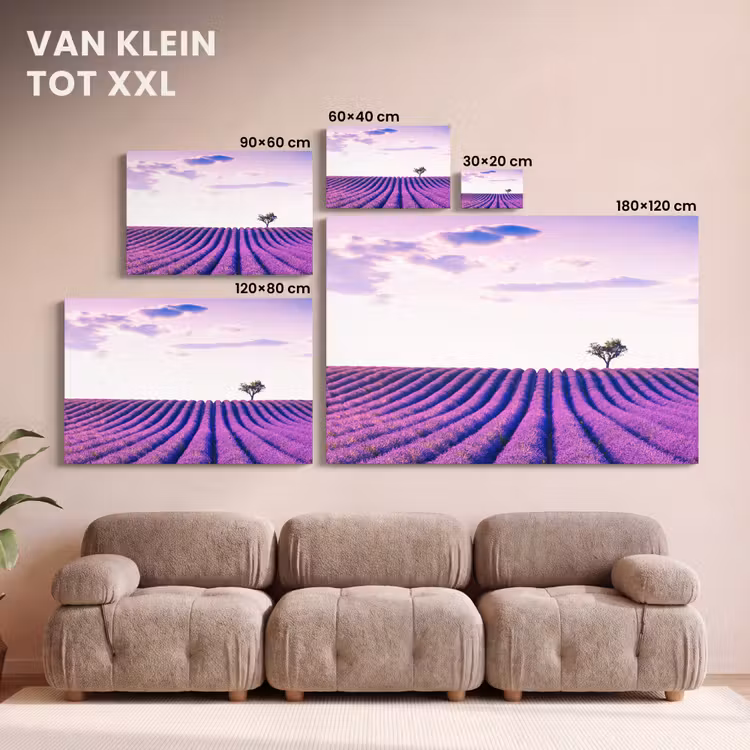 Canvas schilderij - Lavendel - Bomen - Paars - Bloemen — 8