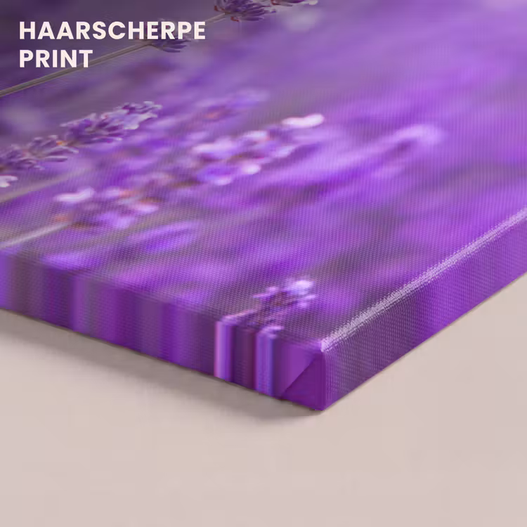 Canvas schilderij - Lavendel - Close-up - Bloemen - Paars — 5