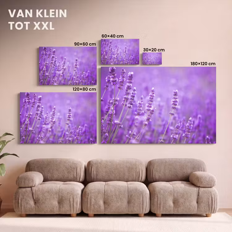 Canvas schilderij - Lavendel - Close-up - Bloemen - Paars — 8