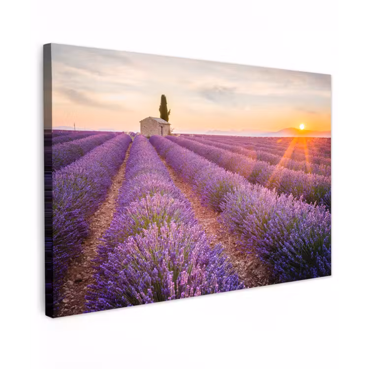 Canvas schilderij - Lavendel - Zonsondergang - Bloemen - Paars — 1