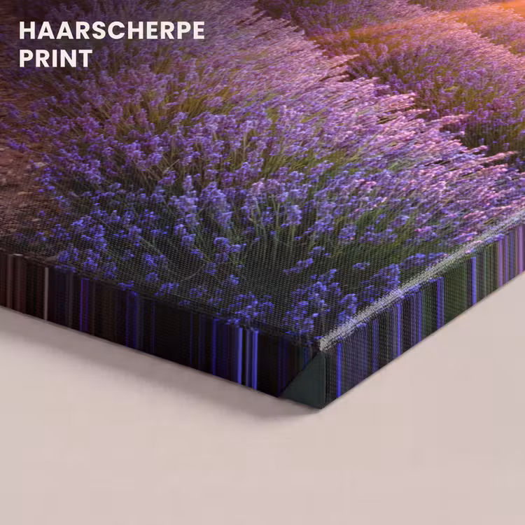 Canvas schilderij - Lavendel - Zonsondergang - Bloemen - Paars — 5