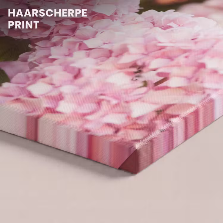 Canvas schilderij - Struik - Bloemen - Roze - Hortensia — 5