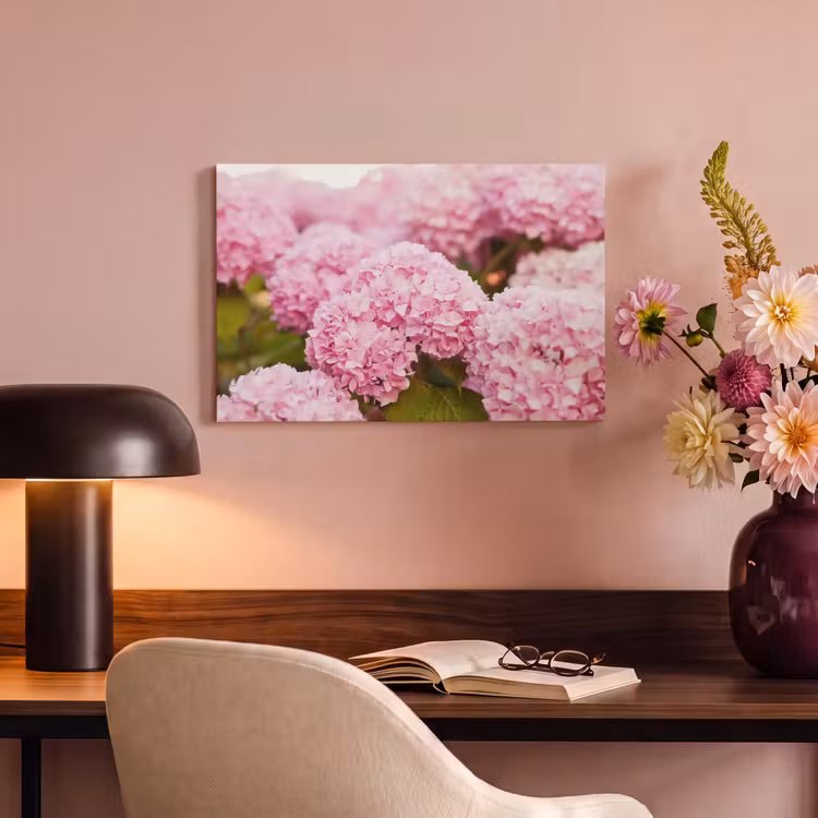 Canvas schilderij - Struik - Bloemen - Roze - Hortensia — 6