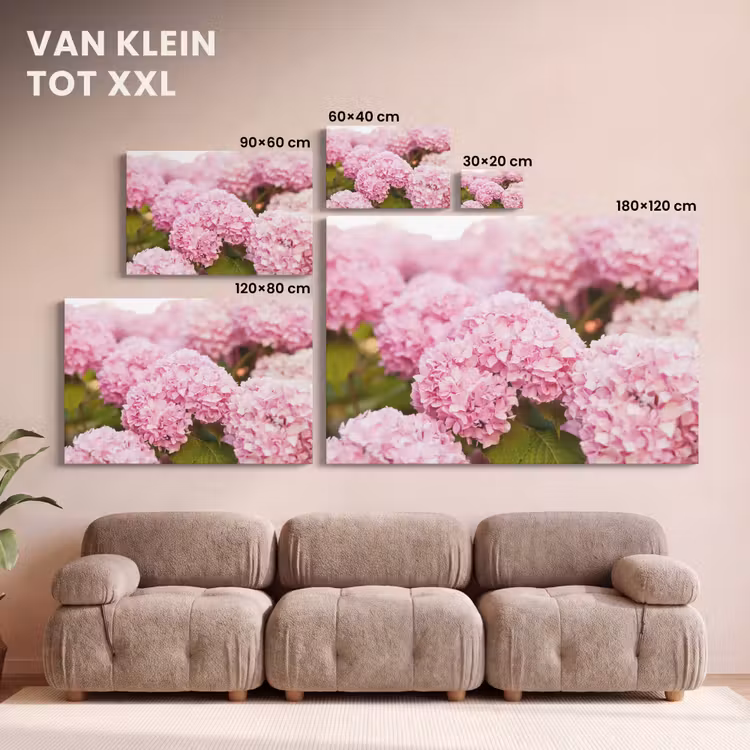 Canvas schilderij - Struik - Bloemen - Roze - Hortensia — 8