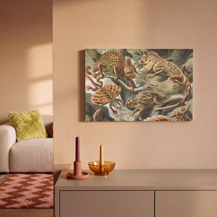 Canvas schilderij - Vintage - Kunst - Ernst Haeckel - Salamanders - Dieren — 2