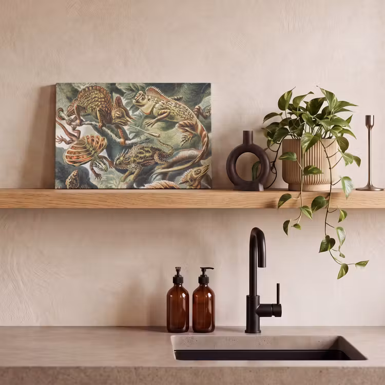 Canvas schilderij - Vintage - Kunst - Ernst Haeckel - Salamanders - Dieren — 4