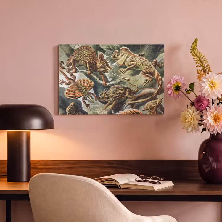 Canvas schilderij - Vintage - Kunst - Ernst Haeckel - Salamanders - Dieren — 6