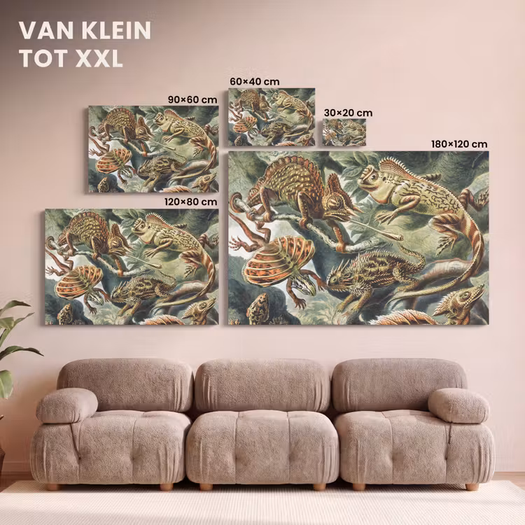 Canvas schilderij - Vintage - Kunst - Ernst Haeckel - Salamanders - Dieren — 8