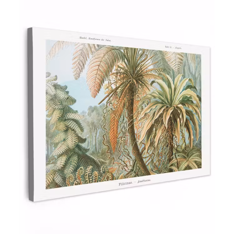 Canvas schilderij - Vintage - Oude meesters - Varens - Planten - Natuur — 1