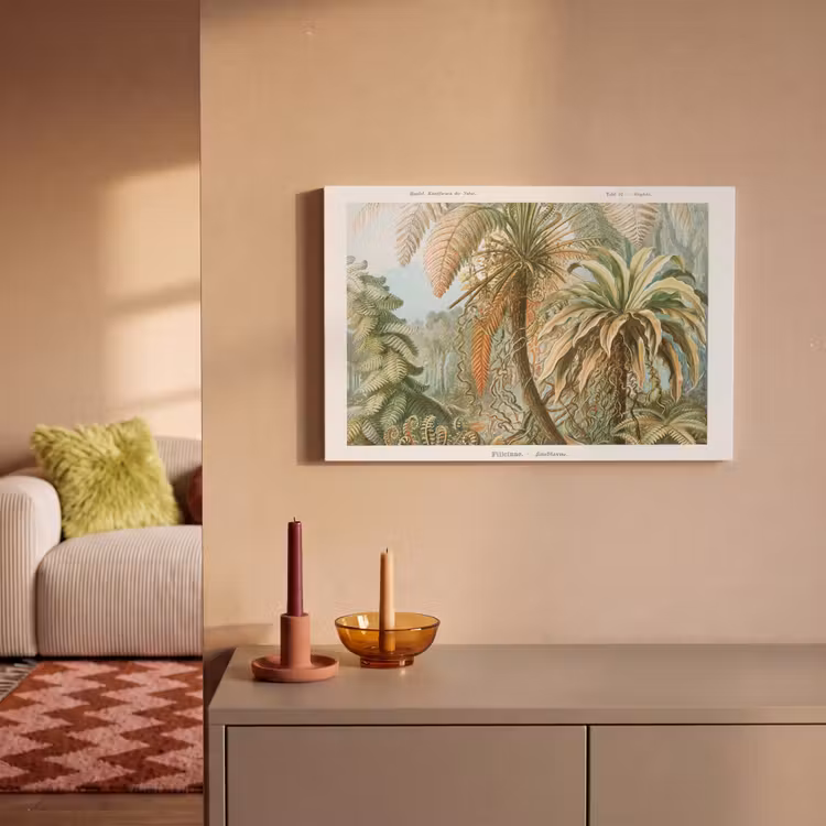 Canvas schilderij - Vintage - Oude meesters - Varens - Planten - Natuur — 2