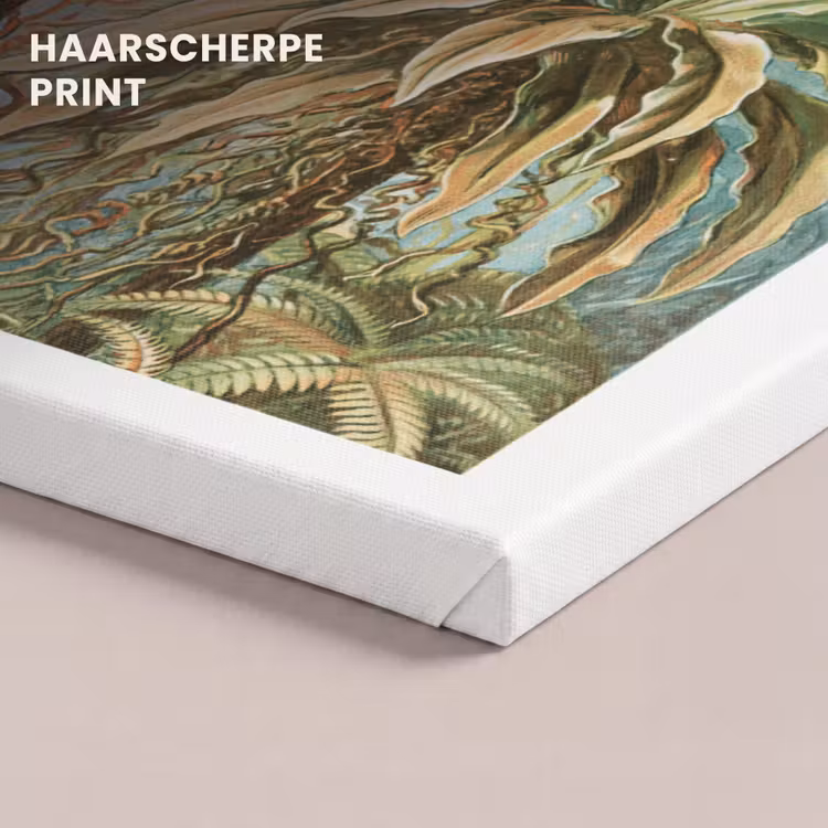 Canvas schilderij - Vintage - Oude meesters - Varens - Planten - Natuur — 5